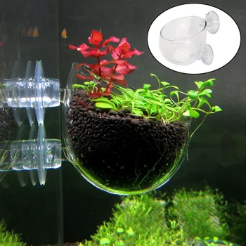 Akvariumo Bakas Dekoro Augalų Kraštovaizdžio Auginimo Stiklo Taurės Baseinas, Mini Vandens Puodo Sodinti