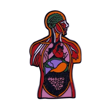 Mokslų Sagė Žmogaus Organų Sistemos Organų Anatomijos Emalio Pin Sveikatos Sąmoningumo Ženklelis